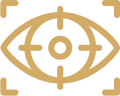 Vision Icon