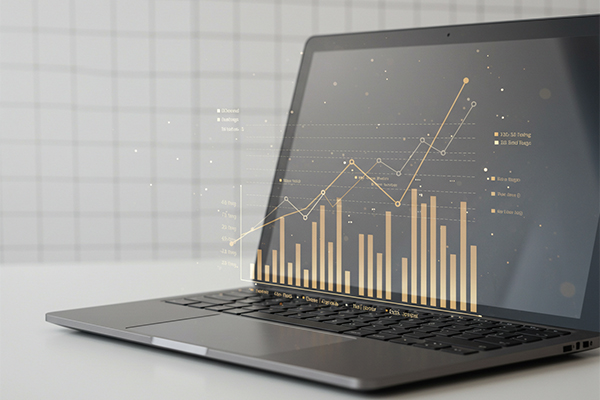 IT Consulting Services